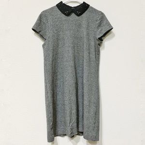 Loft Peter Pan Collar Shift Dress